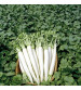 Radish IVTMP-02 250 grams